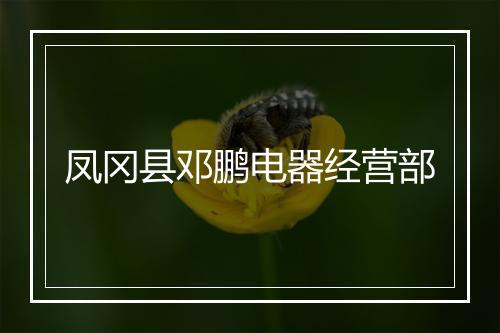 凤冈县邓鹏电器经营部