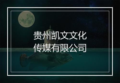 贵州凯文文化传媒有限公司