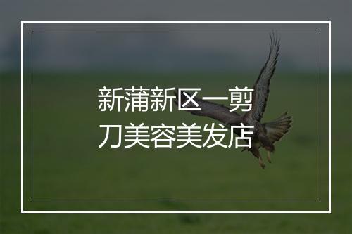新蒲新区一剪刀美容美发店