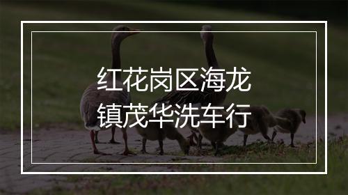 红花岗区海龙镇茂华洗车行