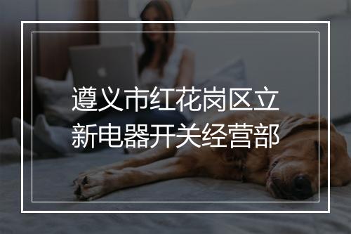 遵义市红花岗区立新电器开关经营部