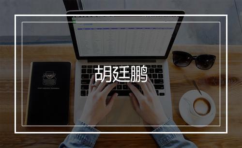 胡廷鹏