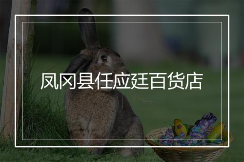 凤冈县任应廷百货店