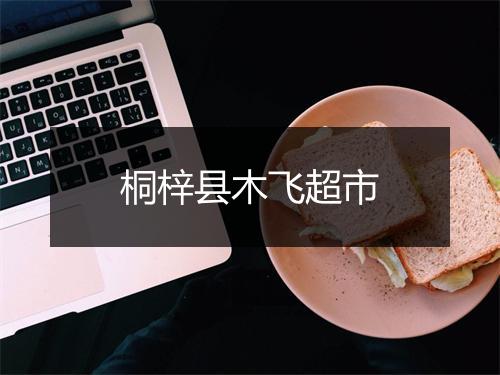 桐梓县木飞超市