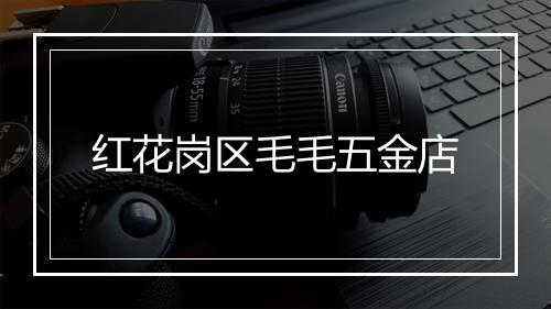 红花岗区毛毛五金店