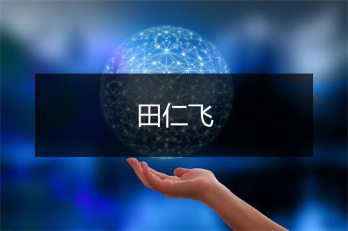 田仁飞