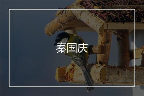 秦国庆