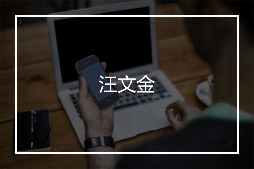 汪文金