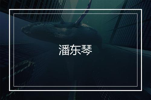 潘东琴