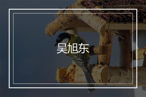 吴旭东