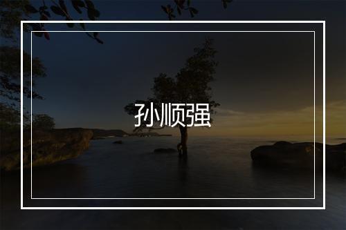 孙顺强