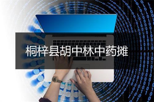 桐梓县胡中林中药摊