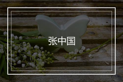 张中国