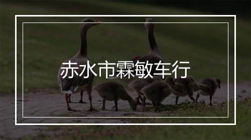 赤水市霖敏车行