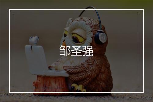 邹圣强