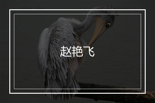 赵艳飞