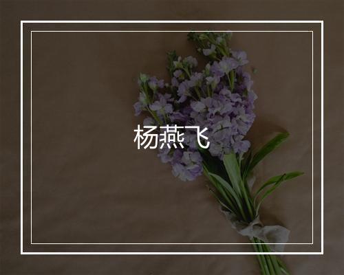 杨燕飞