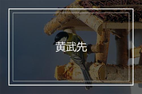 黄武先