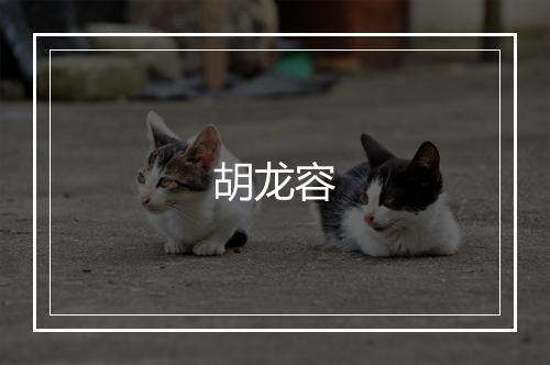 胡龙容
