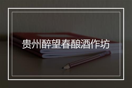 贵州醉望春酿酒作坊