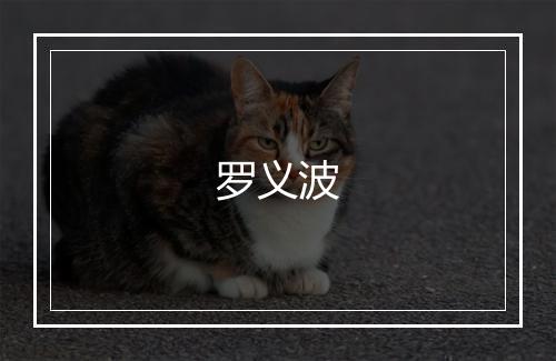 罗义波