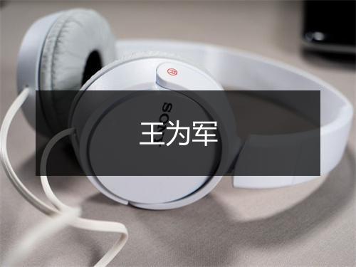 王为军