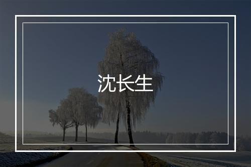 沈长生