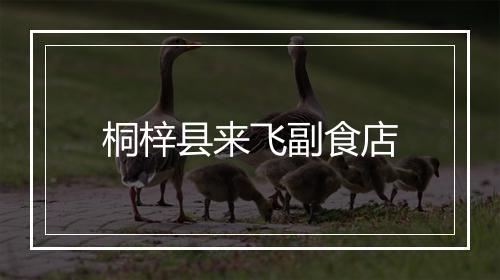 桐梓县来飞副食店