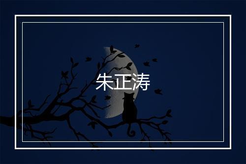 朱正涛