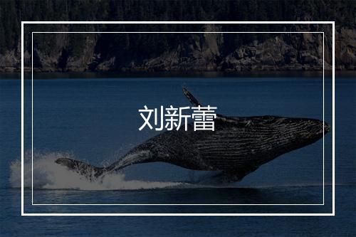 刘新蕾