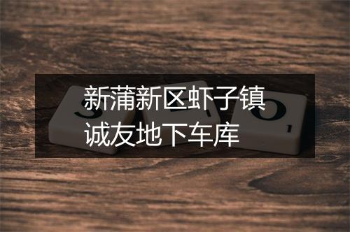 新蒲新区虾子镇诚友地下车库