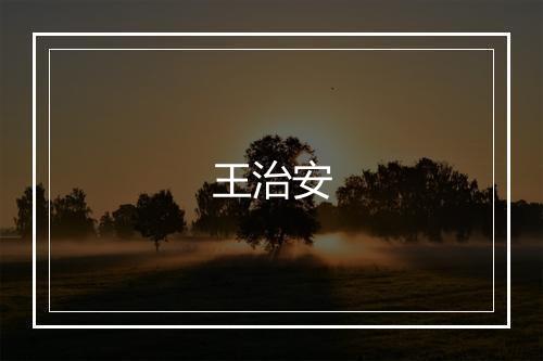 王治安