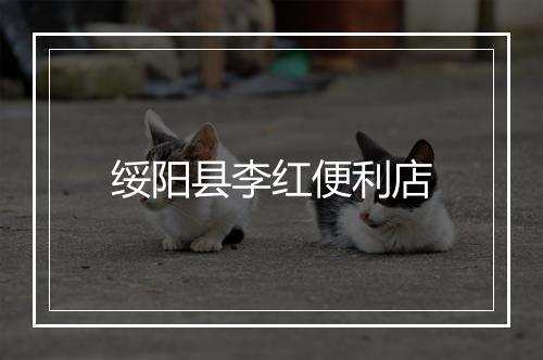 绥阳县李红便利店