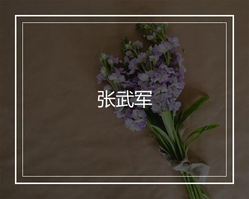 张武军