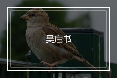 吴启书