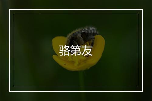 骆第友