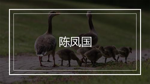 陈凤国