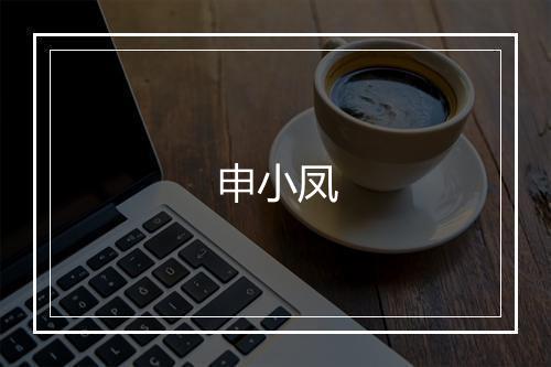 申小凤