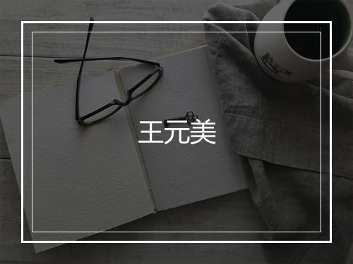 王元美