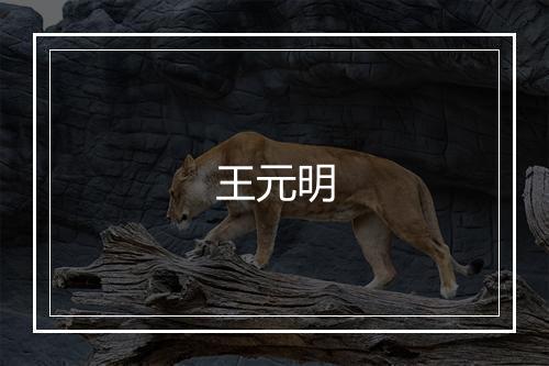王元明