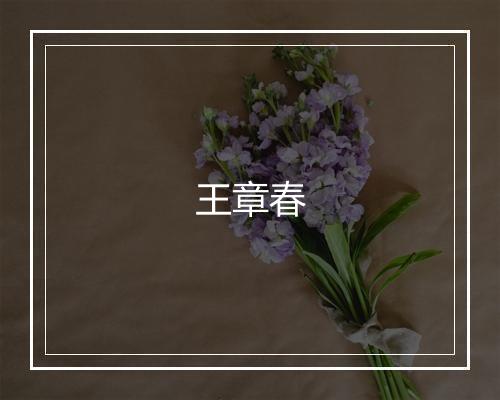 王章春