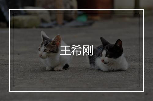 王希刚
