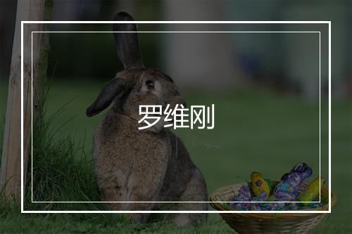 罗维刚
