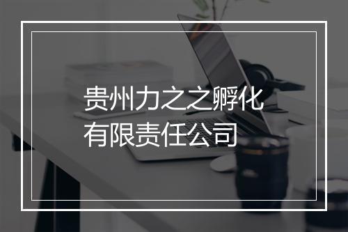 贵州力之之孵化有限责任公司