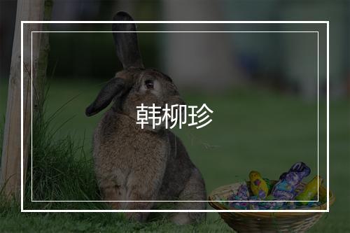 韩柳珍