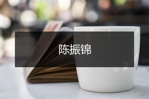 陈振锦