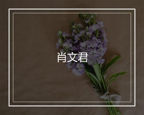 肖文君