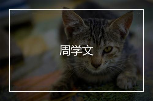 周学文