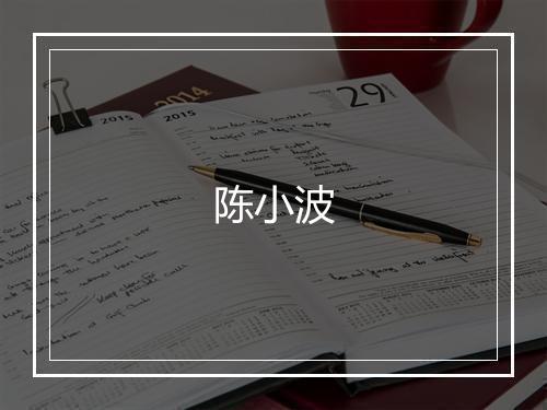 陈小波