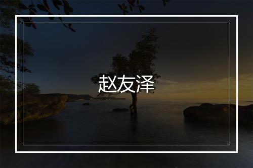 赵友泽